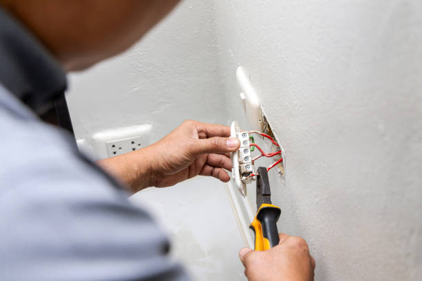 Best Electric Panel Repair  in Greenville, TX